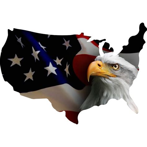 Us Shape With Eagle On Flag Metal Wall Art By Next Innovations