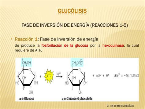 Metabolismo De Los Carbohidratosdiapositivas By Señor Enfermerock Issuu