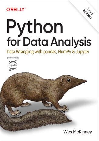 Python For Data Analysis Rd Edition Wes Mckinney Ebook Ksi Garnia Informatyczna Helion