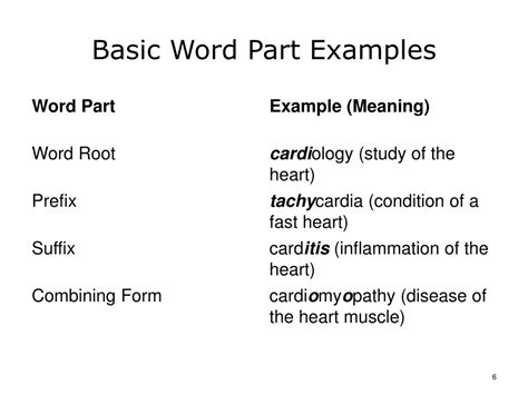 Ppt Terminology In Healthcare And Public Health Settings Powerpoint