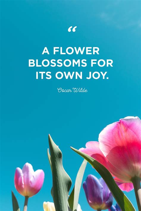 Growth Flower Quotes
