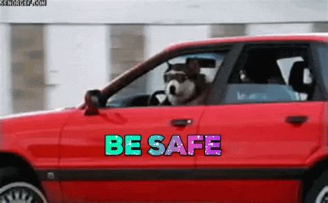 Theyre Never Safe Gifs Get The Best Gif On Giphy