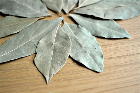Bay Laurel Leaf  Anthony The Spice Maker