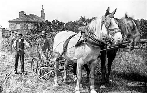 The Great Depression Of British Agriculture A History The Field