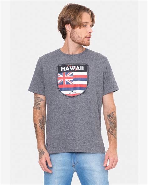 Riachuelo Camiseta Oneill Hawaii Badge Cinza Mescla Escuro