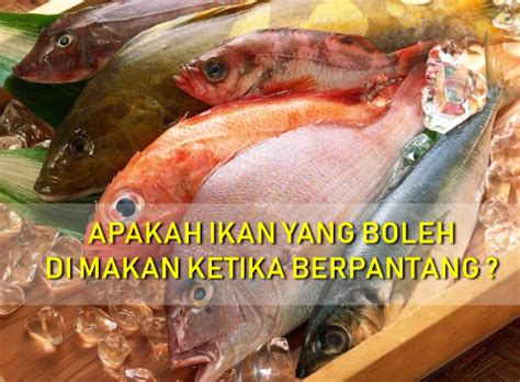 Berbanding ikan lain yang kerap menjadi pilihan untuk sajian sepanjang tempoh berpantang, haruan dipercayai. Resepi Ikan Yu Dalam Pantang ~ Resep Masakan Khas