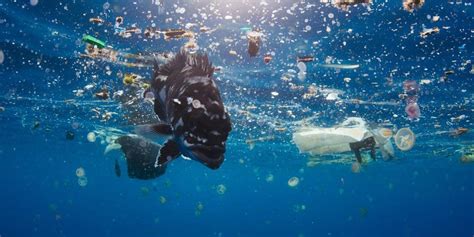 How Bad Is The Global Plastic Pollution Problem And What