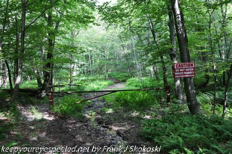 Pinchot State Forest Hike 16 Of 44 Keep Your Eyes Peeled