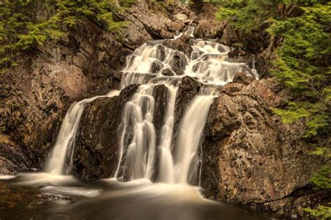 Forest Jungle River Rocks Stones Waterfalls Canada Wallpapers Hd