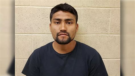 border patrol arrests previously deported sex offender the daily courier prescott az