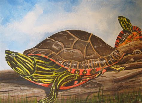 Buckhorn Artists Group The Art Of The Turtle