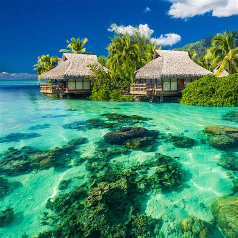 Tahiti Vacation Packages Vacation To Tahiti Tripmasters