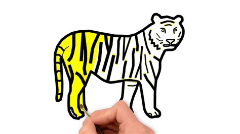 How To Draw And Coloring Royal Bengal Tiger For Kids Royal Bengal