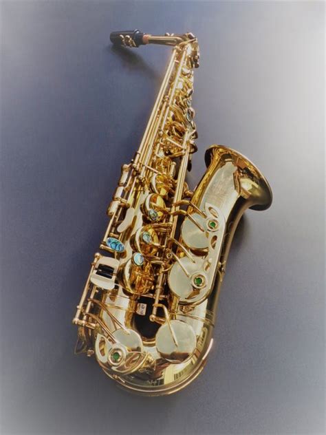 Kölns New Alto Saxophone New Catawiki