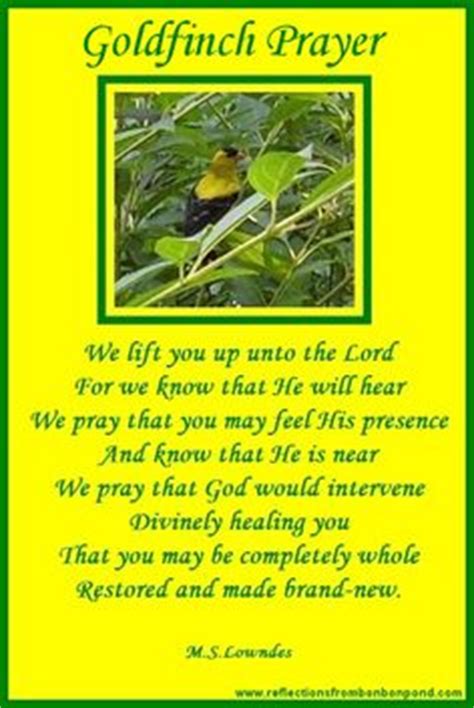 Happy birthday uncle, your aspirations towards success is inspiring and the way you have carried lovely birthday messages for uncle. 1000+ images about Get Well Soon on Pinterest | Get well ...