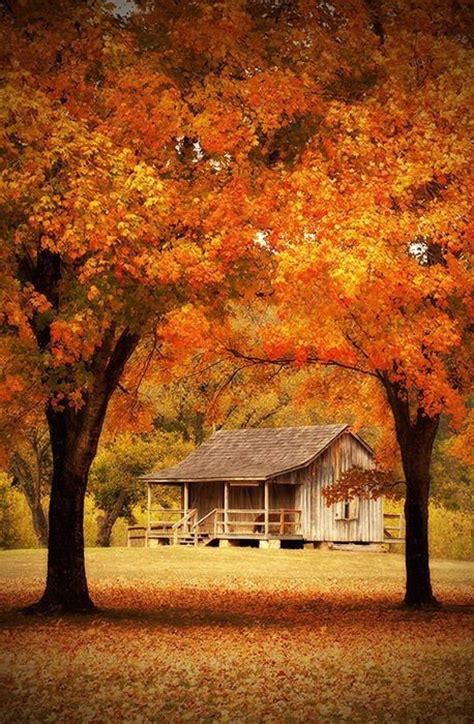 Rustic Chic Country Classic Southern Prep Autumn Scenery Scenery