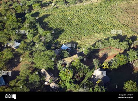 Aerial Photos Of Overlooking Lewa Conservancy And Lodging In Kenya