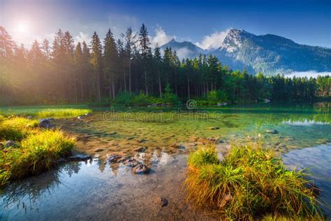 Sunny Summer Morning On The Hintersee Lake In Austrian Alps Stock Image