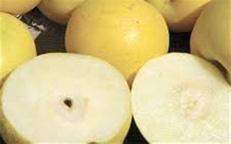 The early crops on the third year weigh down the limbs and. Shinko Asian Pear - 5 Gallon - Tree, Fruit - Asian Pear ...