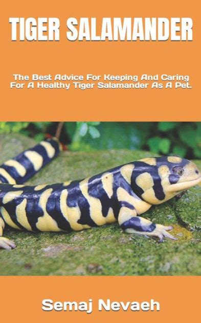 Tiger Salamander The Best Advice For Keeping And Caring For A Healthy