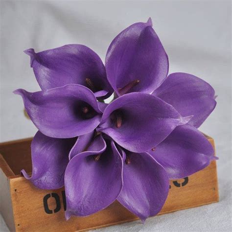 Real Touch Purple Calla Lily Royal Purple Picasso Calla Lilies Etsy