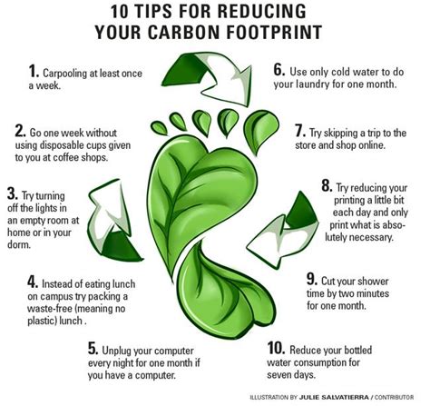 How To Reduce Your Daily Carbon Footprint The Sundial