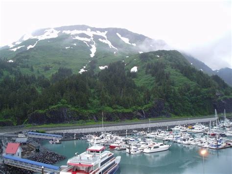 The 8 Best Things To Do Good For Adrenaline Seekers In Whittier Alaska