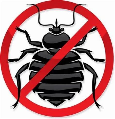 Bed Bug Pest Control Service Hygiene Pest Management Id 2851541547830