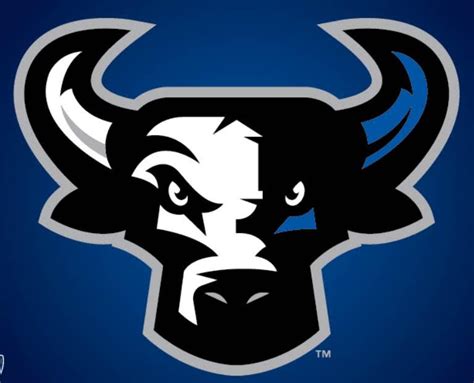 Cincy Durham Bulls Organization Perfect Game Baseball Association