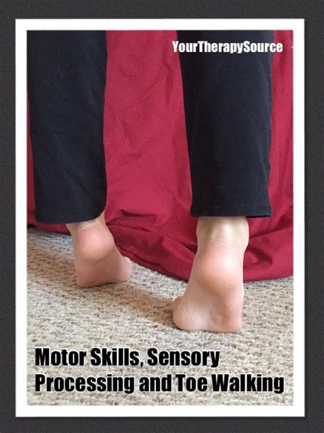 Motor Skills Sensory Processing And Toe Walking Your Therapy Source