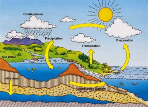 Daur Siklus Dan Tahapan Proses Siklus Hidrologi Teknik Sipil Geoteknik