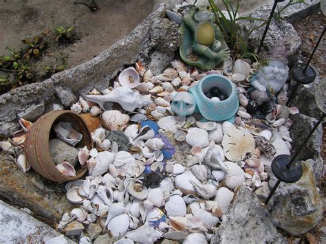 My Shell Garden Landscaping With Rocks Garden Decor Front Yard