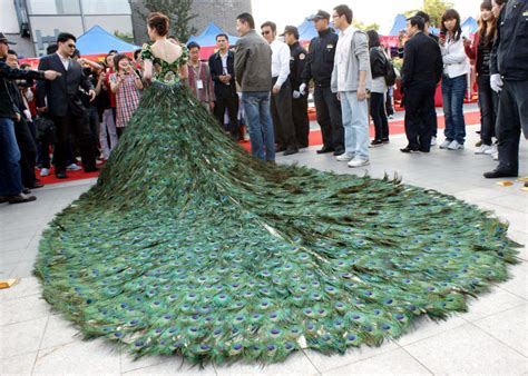 Peacock Feather Wedding Dresses Designs Wedding Dress