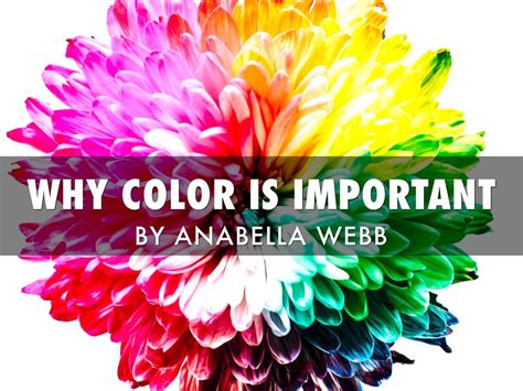Importance Of Color By Anabella Webb
