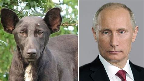 11 Celebrities And Their Hilarious Russian Look Alikes 4 Is Just