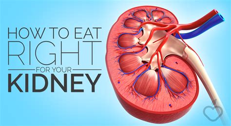 How To Eat Right For Your Kidneys Positive Health Wellness