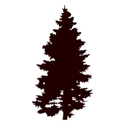 Pine Tree Vector Transparent Png And Svg Vector File