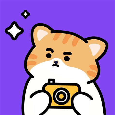 拼图喵相机app下载最新版2023 拼图喵相机官方下载v1 0 0 安卓版 007游戏网