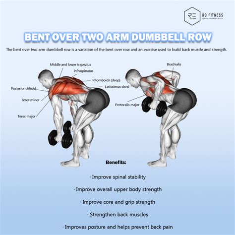 Benefits Of Bent Over Two Arm Dumbbell Row R Fitness