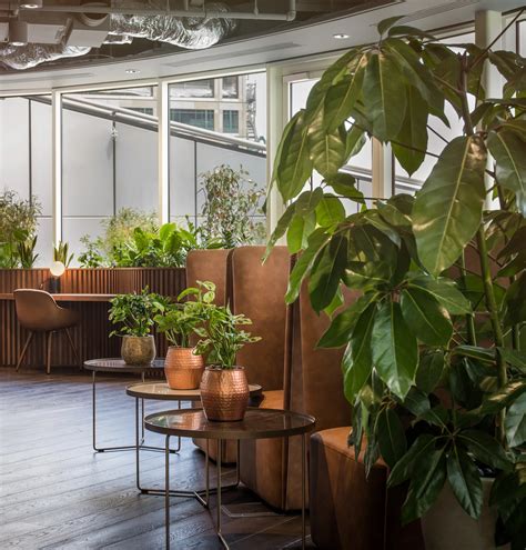 4 Ways To Use Biophilic Design In Your Interiors Lampsy