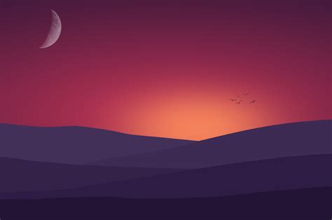 2560x1700 Birds Flying Towards Sunset Landscape Minimalist 4k