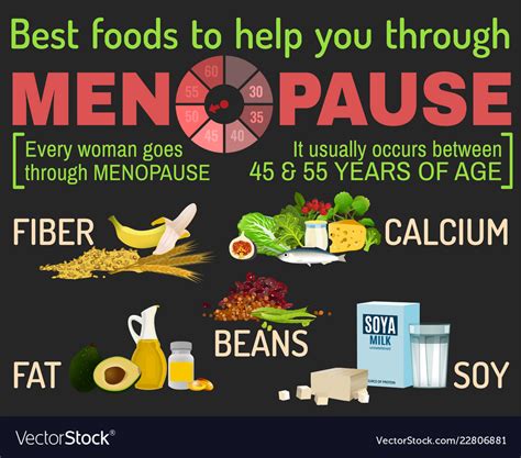 Menopause Facts Infographic Poster Royalty Free Vector Image
