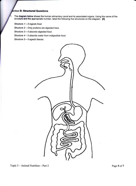 Mandc Digestion Assignment Part 2