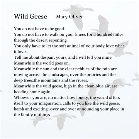 Mary Olivers Wild Geese Reflections On Restlessness And Nature