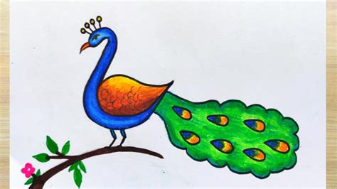 An Incredible Compilation Of Over 999 Peacock Drawing Images With Color