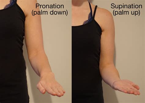 Did You Know That The Elbow Joint Is Particularly At Risk For Stiffness