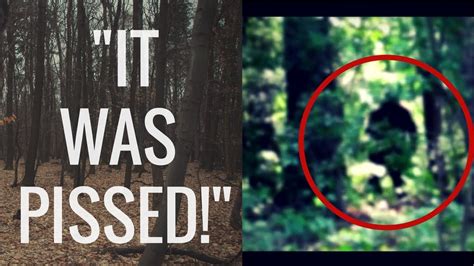 6 Terrifying Encounters With Sasquatchbigfoot They Really Exist