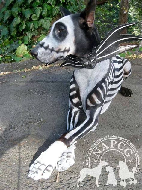 Scary Dog Costumes Unnerving Images For Your All