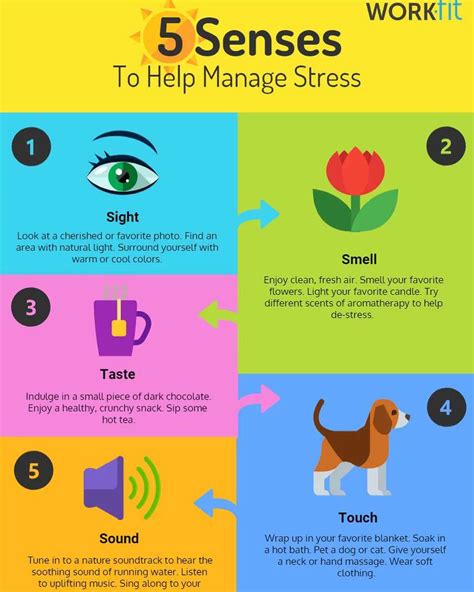 What Are The Types Of Stress Management Kyinbridges