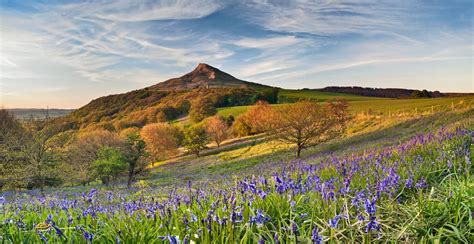 Beautiful Yorkshire Scenery Of Roseberry Topping And Blue Bells Photo